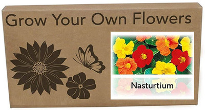 CYBEXIS Nasturtium Flower Seed(400 per packet)