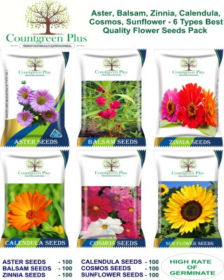 Countgreen Plus Aster Balsam Zinnia Calendula Cosmos Sunflower 6 Type Separate Flower Seeds Pack Seed(100 per packet)