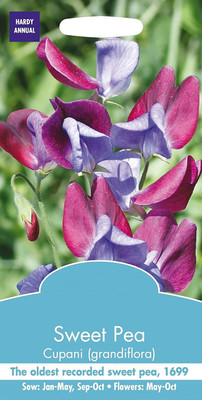 CYBEXIS Flower - Sweet Pea - Cupani Seed(1 g)