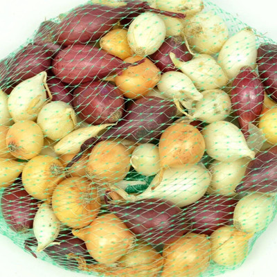 Biosnyg Mixed Red, White and Yellow Onion Seeds-2500 Seeds/10gm Seed(2500 per packet)