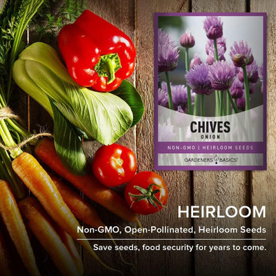 Qualtivate PUAS-9A Chives Herb Seeds Seed(300 per packet)