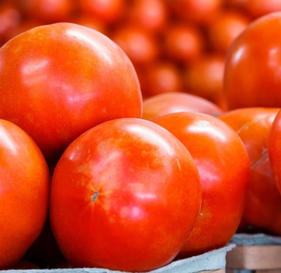 Quentova Beefsteak Tomato 2.5gm Seeds Seed(1000 per packet)