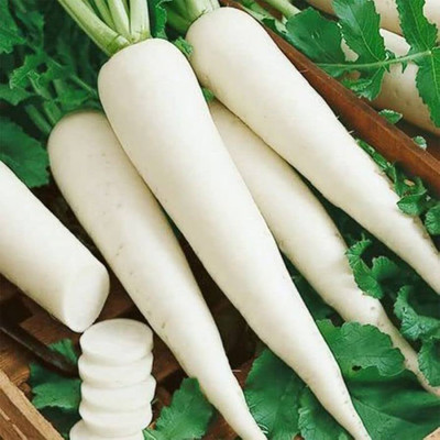 MOONQULTY Mulo Seeds, White Radish,Mooli Seed(65 per packet)