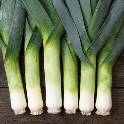 KANAYA Leek F1 Hybrid Vegetable Seed(10 per packet)
