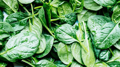 Aywal पालक के बीज/Palak Spinach Seed(450 per packet)