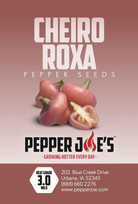 Qualtivate PUA-9A Cheiro Roxa Pepper Seed(300 per packet)