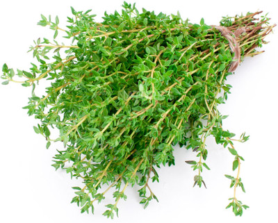 Mozette Thyme herbs Seed(39 per packet)