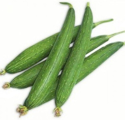 wequality ridge guard seeds/Ridge guard seed 5 Seed(5 per packet)