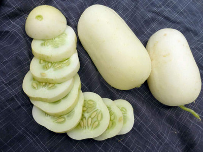 WILLVINE Cucumber Seed (Kheera Seeds)-[2000 Seeds] Seed(2000 per packet)