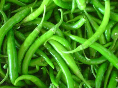 XOLDA Organic green chilli Seed(15 per packet)