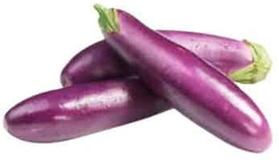 BDSresolve f1 hybrid seeds baingan/bengan seeds 75 Seed(55 per packet)