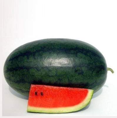 Farmonix Red Watermelon seeds for Super Sweet Big Seed(50 per packet)