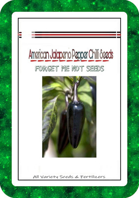 WILLVINE American Jalapeno Pepper Chilli Seeds High Quality Hybrid-[300 Seeds] Seed(300 per packet)