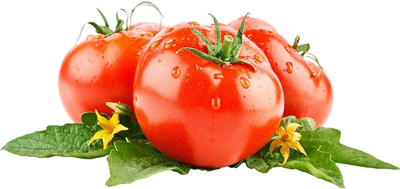 KNESSiN Red Tomato Seed(1250 per packet)