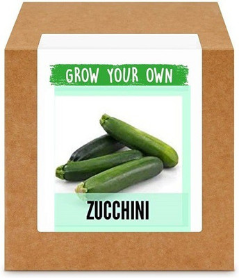 CYBEXIS Zucchini-50 Seeds Seed(50 per packet)