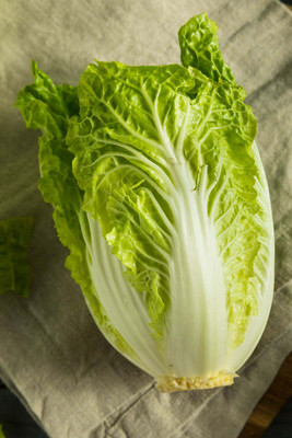 XOLDA Organic Chines cabbage Seed(15 per packet)