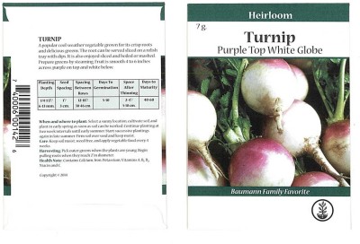 Biosnyg Turnip Garden Seeds - Purple Top White Globe-[1000 Seeds] Seed(1000 per packet)