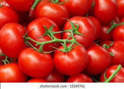 XOLDAA hybrid f1 quality tomato seeds Seed(20 per packet)