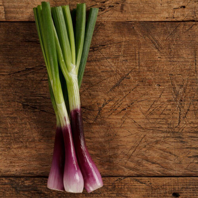 WILLVINE Onion Red Toga Seeds-[5000 Seeds] Seed(5000 per packet)