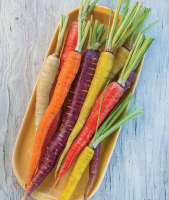 CYBEXIS KGF -71 - Rainbow Carrot for Planting - (2250 Seeds) Seed(2250 per packet)