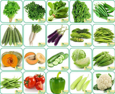 Agnico Agnico 20 Varieties of Vegetable Seeds 1520+ Germination Seeds For Your Garden With Instruction Manual Seed(1520 per packet)