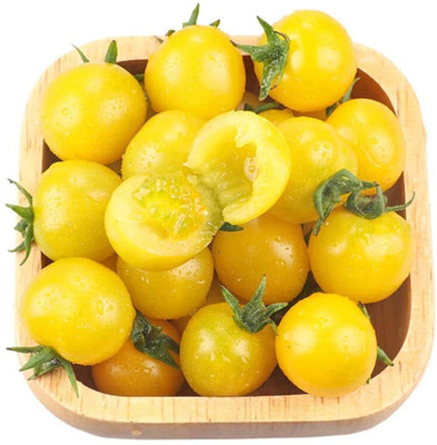 CYBEXIS Annual Heirloom Vegetable Seed Yellow Tomato 2000 Seeds Seed(2000 per packet)