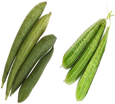 Qualtivate HUA-2A Hybrid Combo of Ridge Gourd and Sponge Gourd Seed(50 per packet)