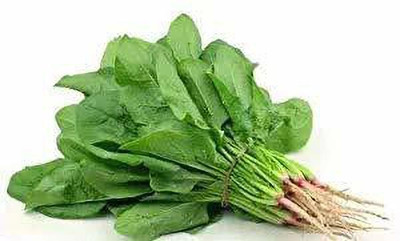 KANAYA Malabar Spinach Seeds Seed(15 per packet)