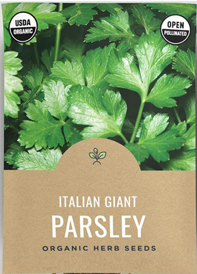 CYBEXIS LX-30 - Parsley - Evergreen - (750 Seeds) Seed(750 per packet)