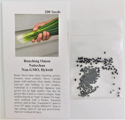 WILLVINE SCI-260 Bunching Onion Nabechan (Green)-3000 Seeds Seed(3000 per packet)