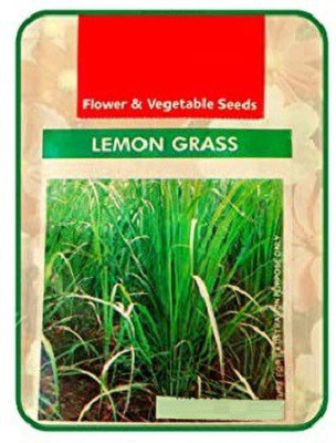 CYBEXIS HUA-99 - Non-GMO Lemongrass Herbs - (2250 Seeds) Seed(2250 per packet)