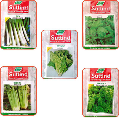 CYBEXIS Exotic 5 Leafy Vegetable Seeds Combo Seed(10 g)