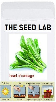 CYBEXIS Organic Vegetable Seeds-Heart Of Cabbage2000 Seeds Seed(2000 per packet)