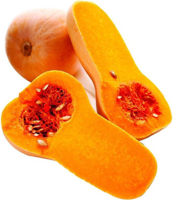 Qualtivate PUAS-7A Early Butternut Hybrid Winter Squash Seed(30 per packet)