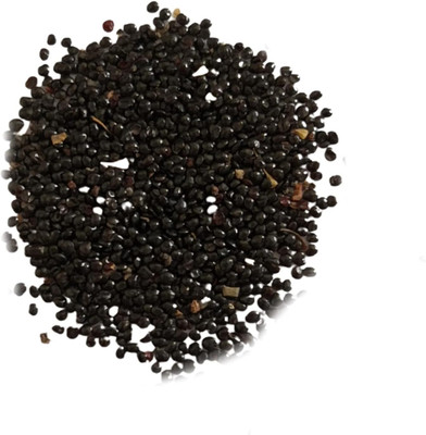 KNESSiN Choy Sum Seed(1250 per packet)
