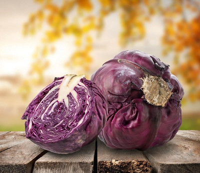 ibains Pink cabbage seeds pack of 205 Seed(205 per packet)