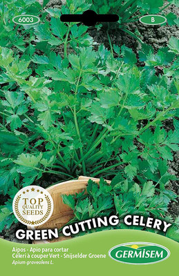 CYBEXIS Green Cutting Celery Seeds700 Seeds Seed(700 per packet)