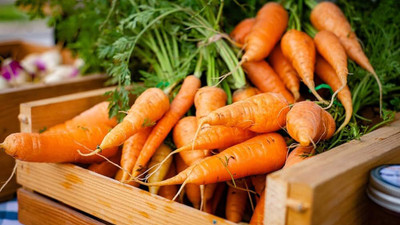 BDSresolve Carrot seeds for planting PACK OF 176 Seed(176 per packet)