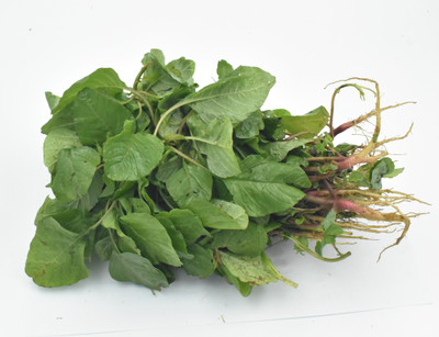 ASPEN Amaranthus Sag Seed | Arai Keerai Seed(1000 per packet)