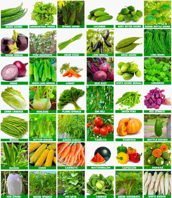 the green dotcom Vegetable Seeds Bank For Home Garden 40 Varieties Seed(2250 per packet)