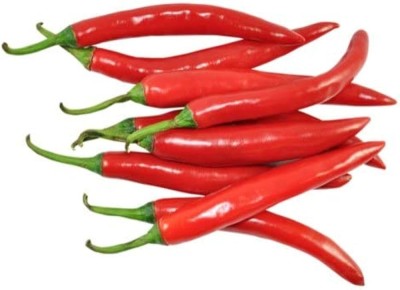 BDSresolve hybrid hot chilli seeds/chlli seed 84 Seed(84 per packet)