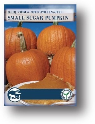 Biosnyg Small Sugar Pumpkin Seed(50 per packet)