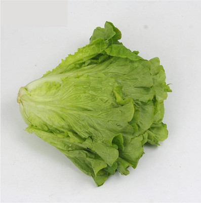 KNESSiN Loose Leaf Lettuce Seed(200 per packet)