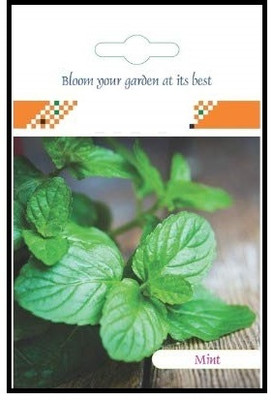 CYBEXIS Mint Hybrid Seeds2800 Seeds Seed(2800 per packet)