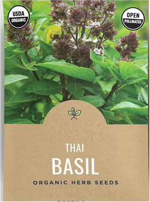Qualtivate LX-99 Thai Basil Seeds Seed(1000 per packet)