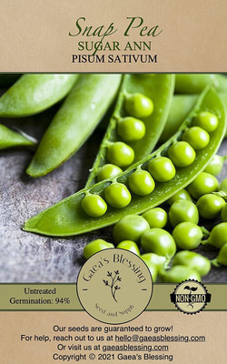 WILLVINE XLL-66 Snap Pea Seeds - Sugar Ann Seed(50 per packet)