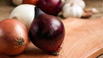 CYBEXIS ATS-16 - Onion Rainbow Mix Neutral - (4500 Seeds) Seed(4500 per packet)