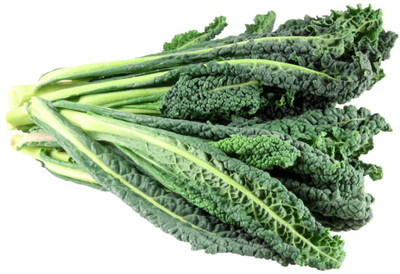 CYBEXIS Tuscan Cabbage2000 Seeds Seed(2000 per packet)