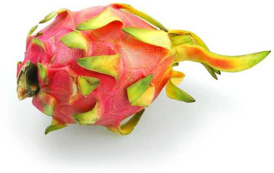 Oliver imported dragon fruit seeds Seed(16 per packet)