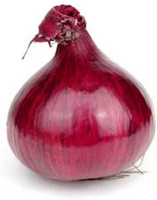 Aywal Nasik Super Red (कांदा) Onion Seed(450 per packet)